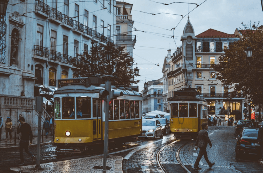 Cibalae Lisboa 2023